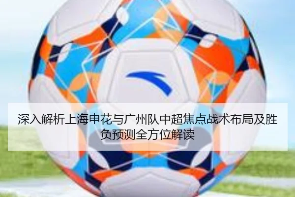 深入解析上海申花与广州队中超焦点战术布局及胜负预测全方位解读